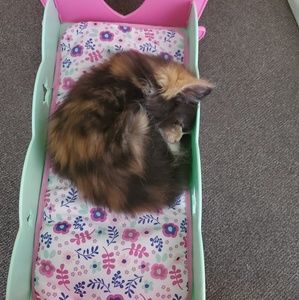 Meet your Posher, Morgan